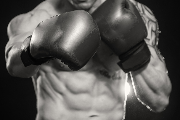 Portrait de boxeur
 - Photo, image