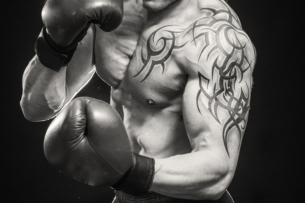 Portrait de boxeur
 - Photo, image