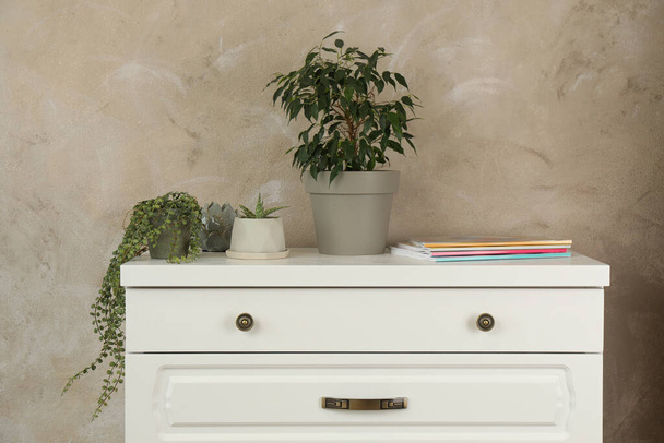 Modern chest of drawers with houseplants near beige wall - Foto, Bild