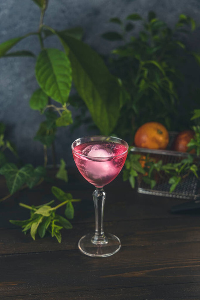 Elegant stemware glass of blood orange cocktail with big ice ball on dark wooden table surface surrounded green herbs and raw fresh blood orange in the basket. - 写真・画像