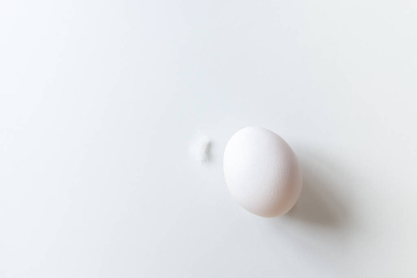 Одне біле яйце і пір'я лежать на білому тлі з копіювальним простором. Вид зверху на ізольоване біле яйце та перо. Концепція мінімалізму
. - Фото, зображення