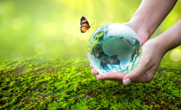 Egy ember egy üveggömbbel Koncepció nap Föld Mentsd meg a világot Mentsd meg a környezetet A világ a zöld bokeh háttér fűjében van - Fotó, kép