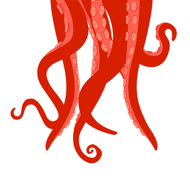 Tentacles of octopus isolated on white background. Vector - Vetor, Imagem