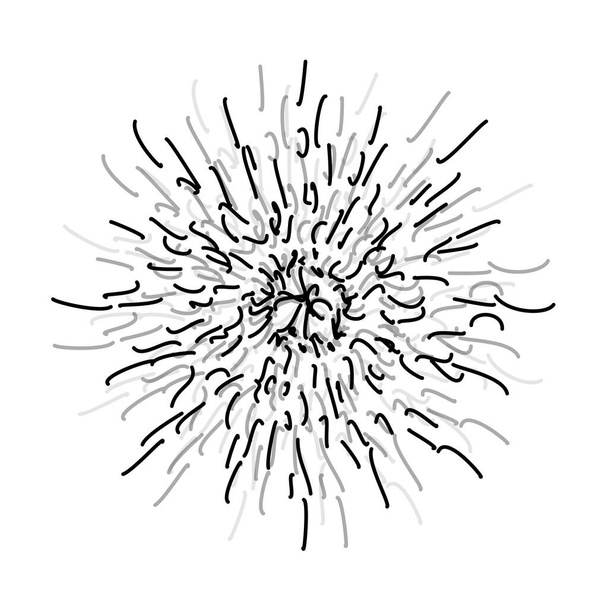 Explosionseffekt zufälliger radialer schwarzer Linien auf weißem Hintergrund. Florales abstraktes Kreismuster.  - Foto, Bild