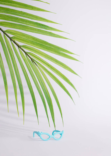 sunglasses blue on a summer day under green tropical tree.minimal concept design - Photo, Image