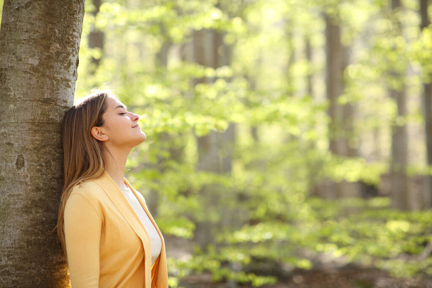 Side view portrait of a relaxed woman breathing fresh air in a green forest - Φωτογραφία, εικόνα
