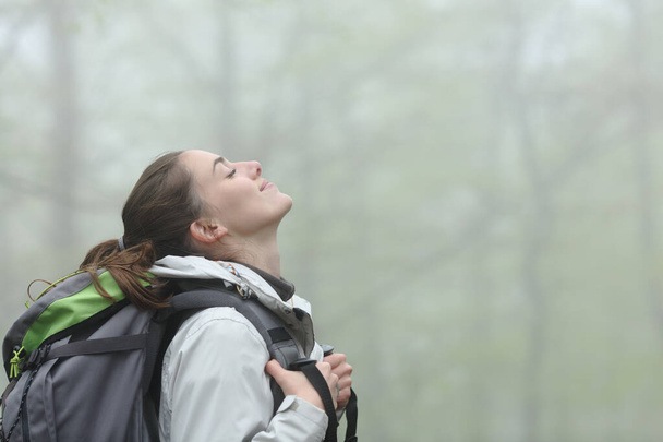 Widok z boku portret szczęśliwego trekkera oddychającego świeżym powietrzem w mglistym lesie - Zdjęcie, obraz