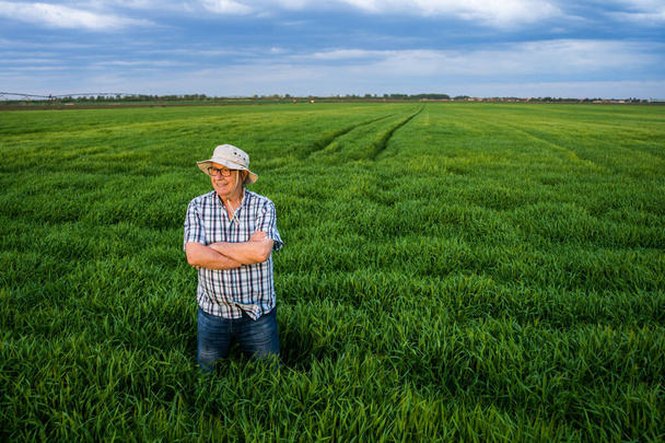 誇り高いシニア農家は彼の大麦のフィールドに立っていると夕日を楽しんで. - 写真・画像