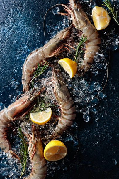 Fresh tiger prawns with lemon, rosemary and crushed ice on a dark blue background, top view with copy space. - Photo, Image