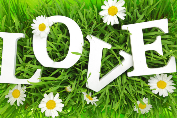 Трава з квітами і білий текст Любов на ньому
  - Фото, зображення