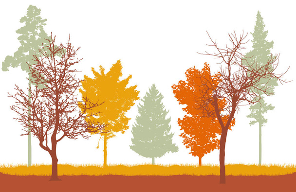 秋の森、裸の木のシルエット、葉とトウヒと松の木。美しい自然、風景。ベクターイラスト - ベクター画像