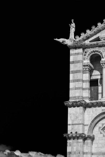 Романтические детали фасада Пизы, выполненные в XII веке (черно-белый с копировальным пространством) - Фото, изображение