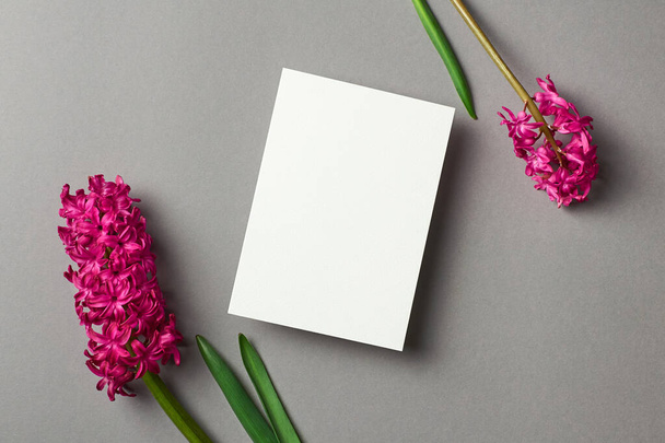 Tarjeta de felicitación o invitación maqueta fija con flores frescas de jacinto sobre fondo de papel gris, vista superior, espacio para copiar - Foto, Imagen