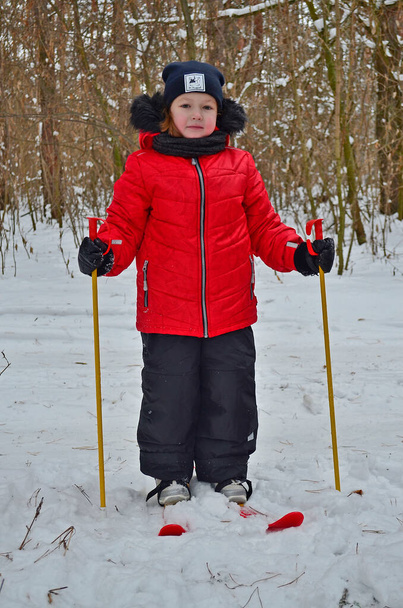 Little girl child goes skiing in winter. - Photo, Image