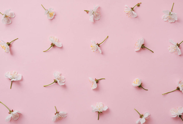 Pattern with flowering sweet cherry on a pink background. Springs and bloom and minimal modern concept. - Photo, Image