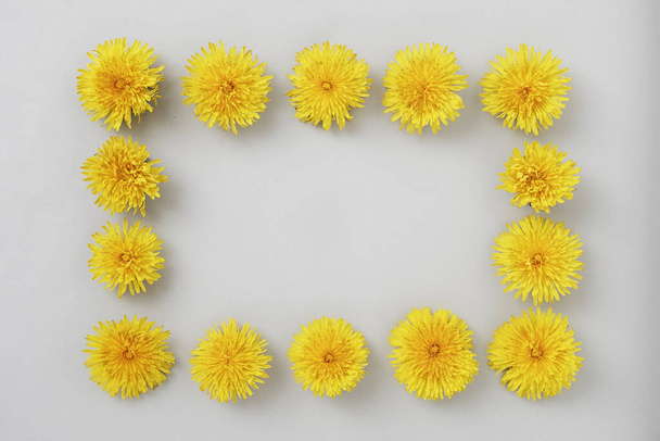 Karahindiba çiçekleri, davetiye veya afiş metni için kopya alanı olan gri bir arkaplanda çerçevelenir. Bahar konsepti ve düz konsept. - Fotoğraf, Görsel