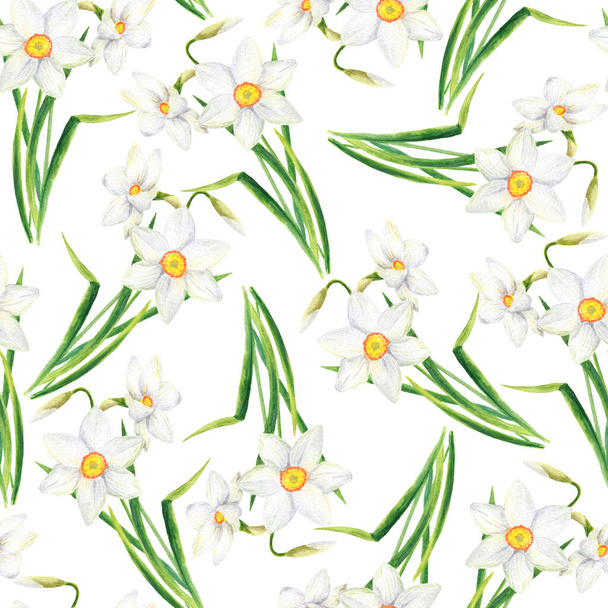 Aquarell Narcissus nahtloses Muster. Handbemalte Narzissenblüten isoliert auf weißem Hintergrund. Frühling Blumenschmuck, elegantes feminines Design für Textilien, Stoffe, Verpackung, Sammelalbum, Druck. - Foto, Bild