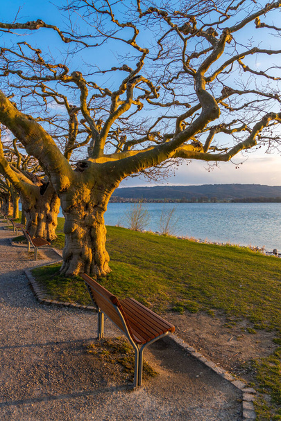 Radolfzell Holidays Spring on the beautiful Lake Constance with blue sky - Photo, Image