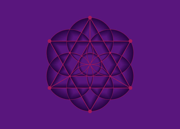 生命シンボルの花メタトロン・メルカバ神聖な幾何学。ロゴアイコン錬金術の幾何学的神秘的な曼荼羅生命の種。紫色の背景に隔離されたベクトルピンクのタトゥー神の瞑想のお守り - ベクター画像