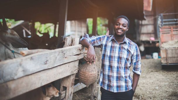 Hombre agricultor africano de pie en la granja de vacas. Agricultura o concepto de cultivo - Foto, Imagen