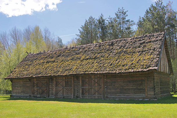 Vieille grange en bois, chaume. Plein de mousse. Il se tient sur l'herbe verte. Ancienne construction rurale. Un village en Pologne à Podlasie - Photo, image