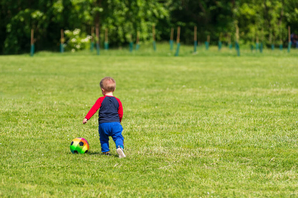 Dziecko bawi się barwną piłką na zielonym trawniku parku w słoneczny dzień, jaskrawo kolorowy obraz aktywności na świeżym powietrzu - Zdjęcie, obraz