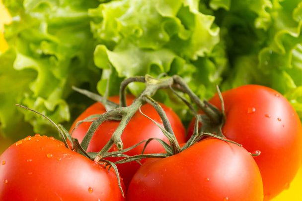 Red tomatoes on a green branch with a large pale. Lettuce leaves in the background. Vegetables for cooking. - Photo, Image