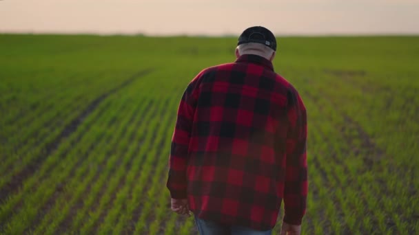 Senior male farmer walks through a field with plowed land in his rubber boots. A worker go down a heap of earth. Concept of agricultural business. A mature farmer looks at a plowed field. - Footage, Video
