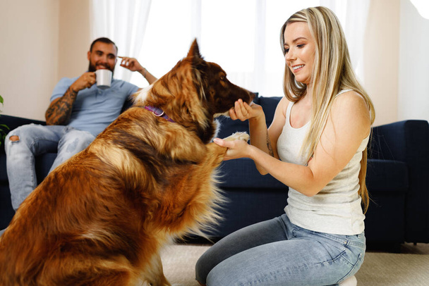 Young loving couple relaxing in living room with their dog pet - Фото, изображение