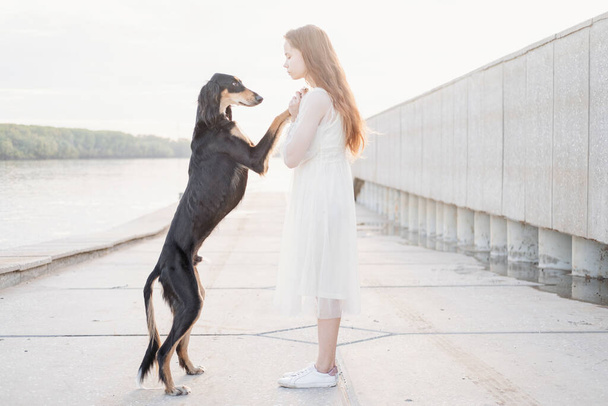 Saluki perro de pie con atractiva joven mujer cerca de la orilla del río. primer plano retrato.  - Foto, imagen