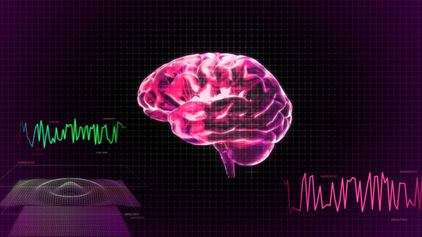διάγραμμα εγκεφάλου κόκκινο ακτινογραφία της τεχνολογίας - Πλάνα, βίντεο