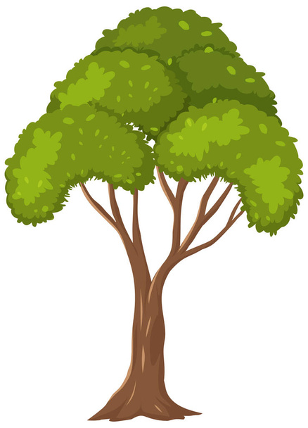 Isolated tree on white background illustration - Vector, Image