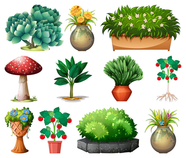 Σύνολο διαφορετικών φυτών σε γλάστρες που απομονώνονται σε λευκό φόντο εικονογράφηση - Διάνυσμα, εικόνα