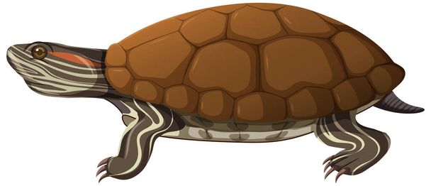 Turtle in cartoon style isolated on white background illustration - Vector, Image