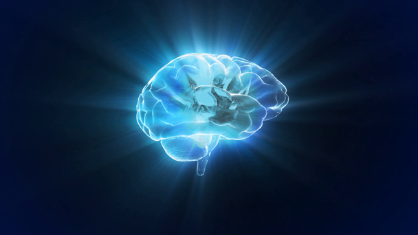 draaien x-ray hersenen van de biologie - Video