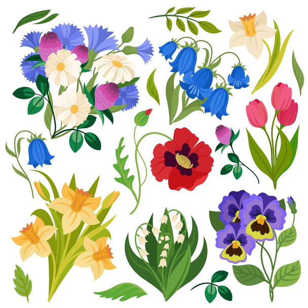 Bloemen boeket. Wilde bloemen weide planten. Kamille, klaver en narcis, papaver en lelie van de vallei, tulpen en klokbloemen geïsoleerd vector set - Vector, afbeelding