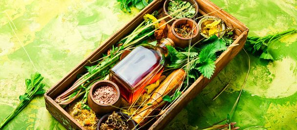 Verse en droge geneeskrachtige kruiden en geneeskrachtige planten.Kruidengeneeskunde, homeopathie - Foto, afbeelding