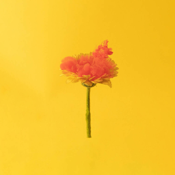 peinture fluide rouge abstraite avec gerber jaune frais sur fond jaune vif ensoleillé d'été. composition fluide de concept créatif avec espace de copie. art abstrait de luxe naturel minimal - Photo, image