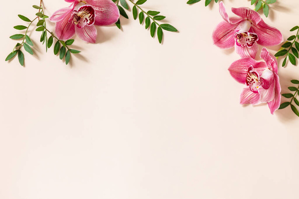 Eleganckie kwiatowe abstrakcyjne tło. Tropikalny różowy falaenopsis storczyki na jasnym pastelowym tle. Widok z góry płaski. Ramka do tekstu, przestrzeń do kopiowania. - Zdjęcie, obraz