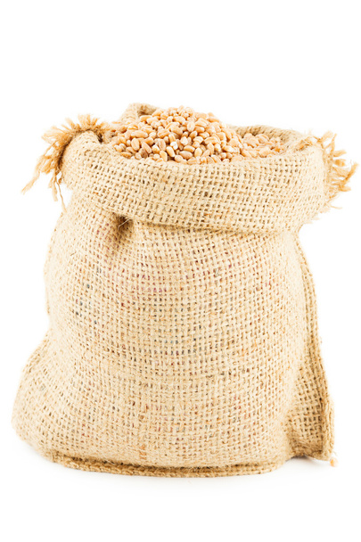 Un saco es lino lleno de trigo
 - Foto, Imagen