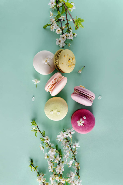 French dessert macarons and spring tree blossom - Foto, Imagen