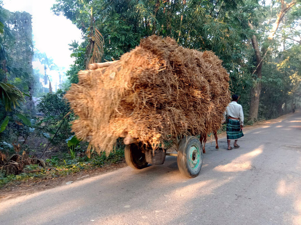 Trockener Reisbaumstrauß auf Pferdewagen auf Straße - Foto, Bild
