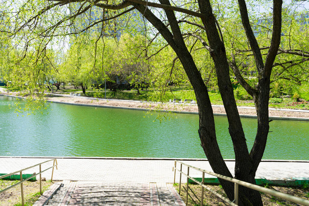 Großer Konkovsky-Teich im zeitigen Frühling. Blühende Bäume - Foto, Bild