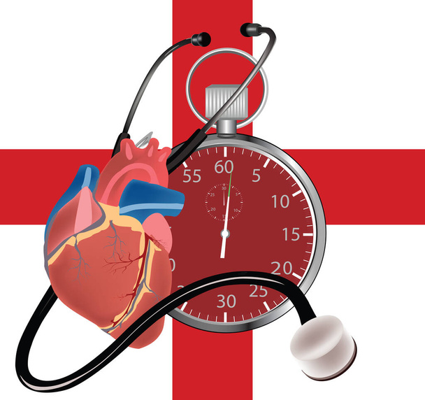 cronômetro coração humano cronômetro coração humano - Vetor, Imagem