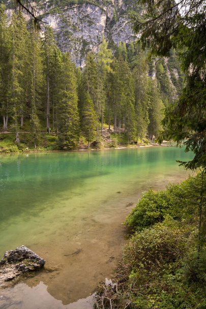 glimpses, details and landscape on Braies lake in Trentino Alto Adige in Italy - Фото, изображение