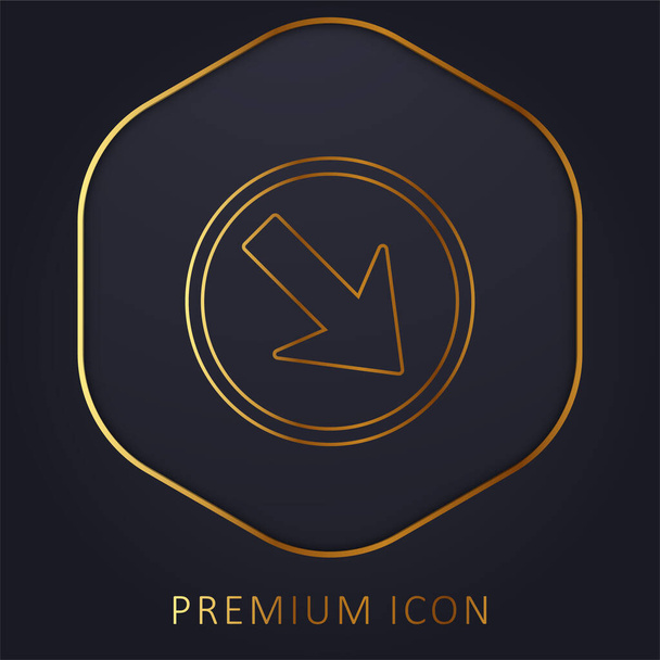 Flecha apuntando hacia abajo a la derecha en un círculo de oro logotipo de la línea premium o icono - Vector, Imagen