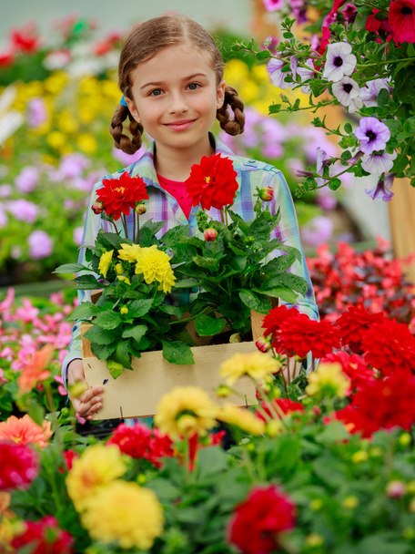 Planting, garden flowers - girl shopping plants and flowers in garden center - Photo, Image