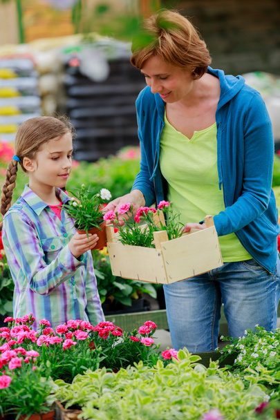 Посадка, садовые цветы - семейные торговые растения и цветы в садовом центре
 - Фото, изображение