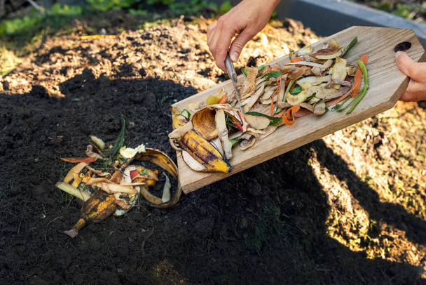 jogando restos de comida na pilha de compostagem de jardim. reciclagem de resíduos orgânicos de cozinha - Foto, Imagem