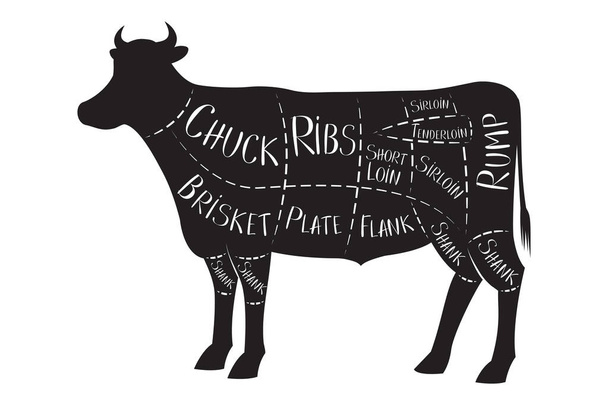 Guide du boucher - bœuf - illustration vectorielle - Vecteur, image